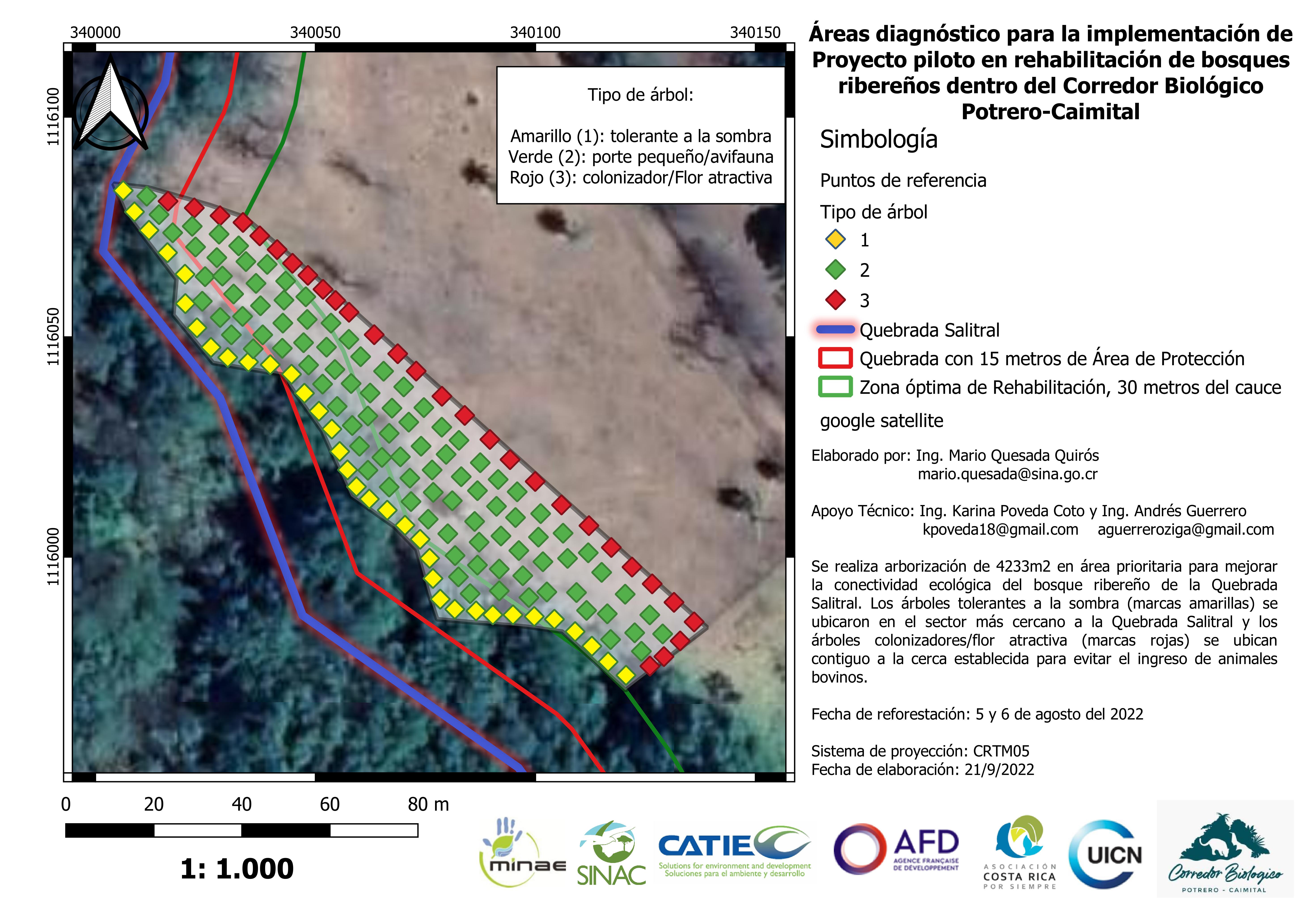 mapa area reforestada FINAL.jpeg